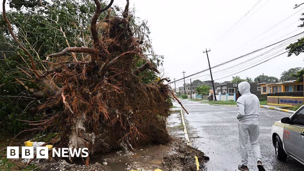 Windows blown in, trees uprooted and croc warnings - Hurricane Melissa batters Jamaica - BBC