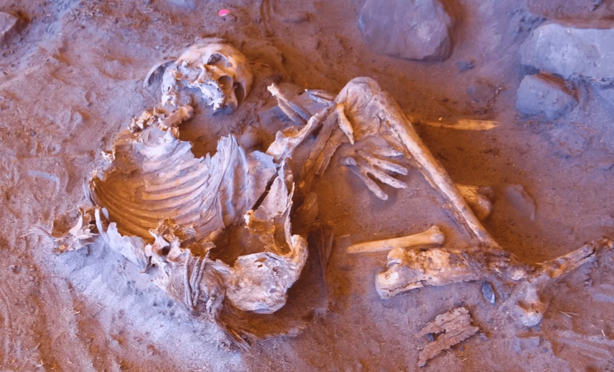 7,000-Year-Old Skeletons Found in Sahara Reveal Unknown Human Lineage - Indian Defence Review