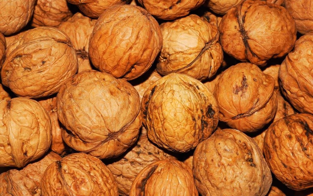 A balanced plate featuring fish, fresh vegetables, and nuts, representing a heart-healthy diet.