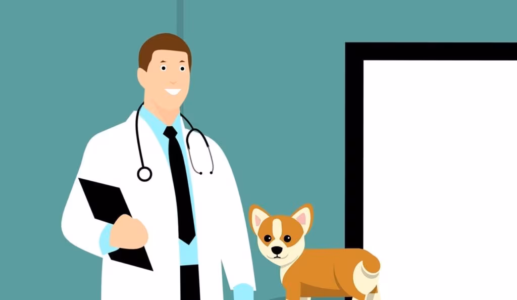 A small dog receiving a vaccination shot from a veterinarian in a clinic setting