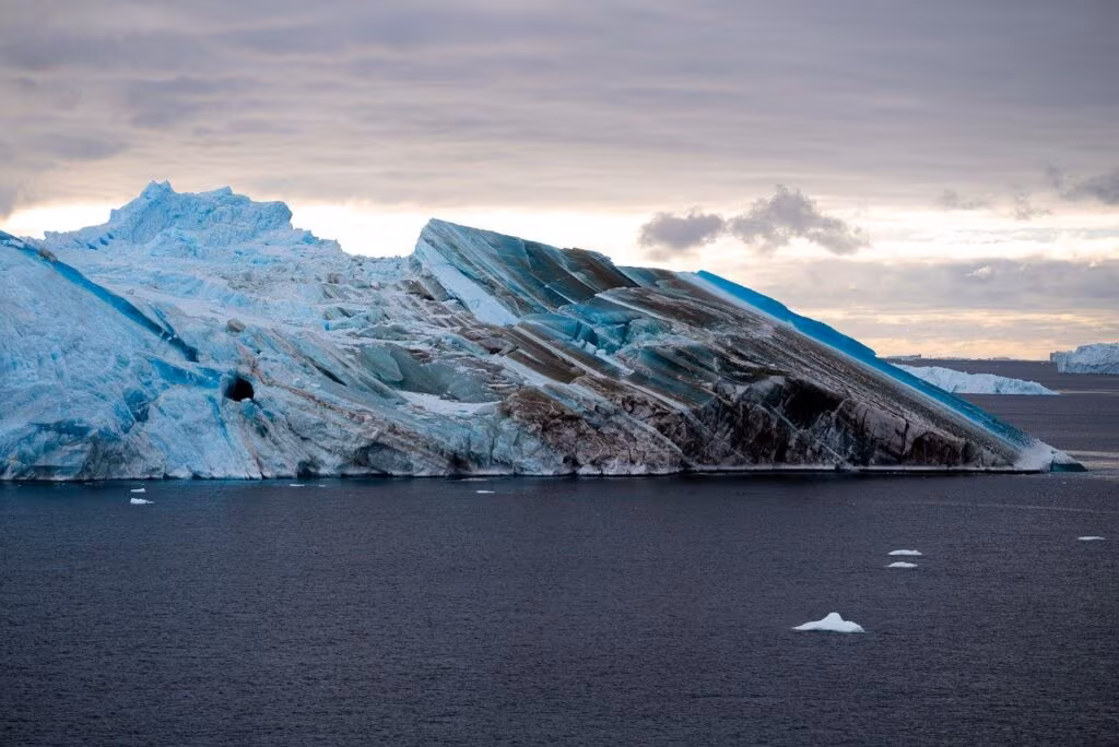 Bowhead whale swimming near ice floes in the Arctic Ocean
