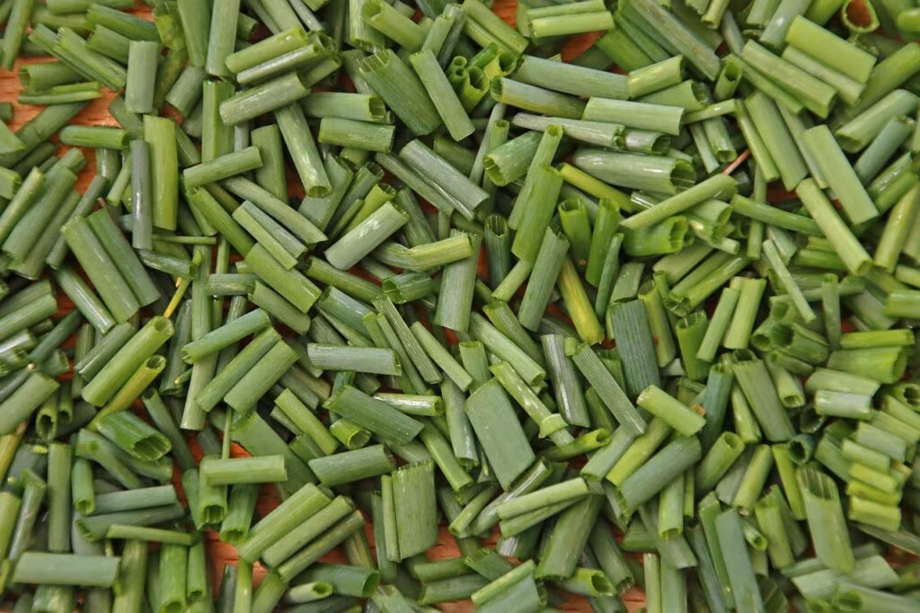 Close-up of a bowl of air-popped popcorn seasoned with nutritional yeast and various spices.