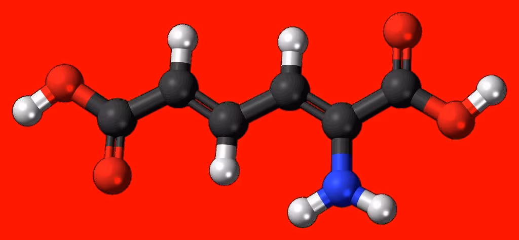 Diagram illustrating the metabolic shift from glucose burning to fat burning in the human body.