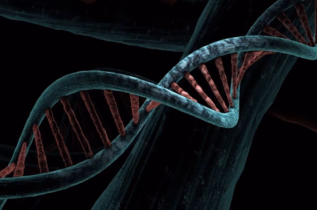 Digital representation of DNA helix structure in a research setting