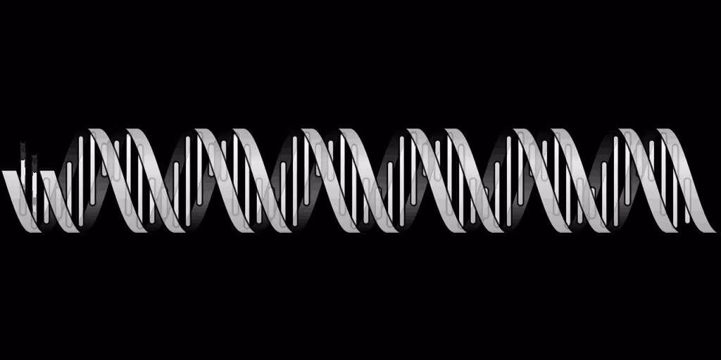 Illustration of the double helix structure of DNA, representing the fundamental blueprint of life.