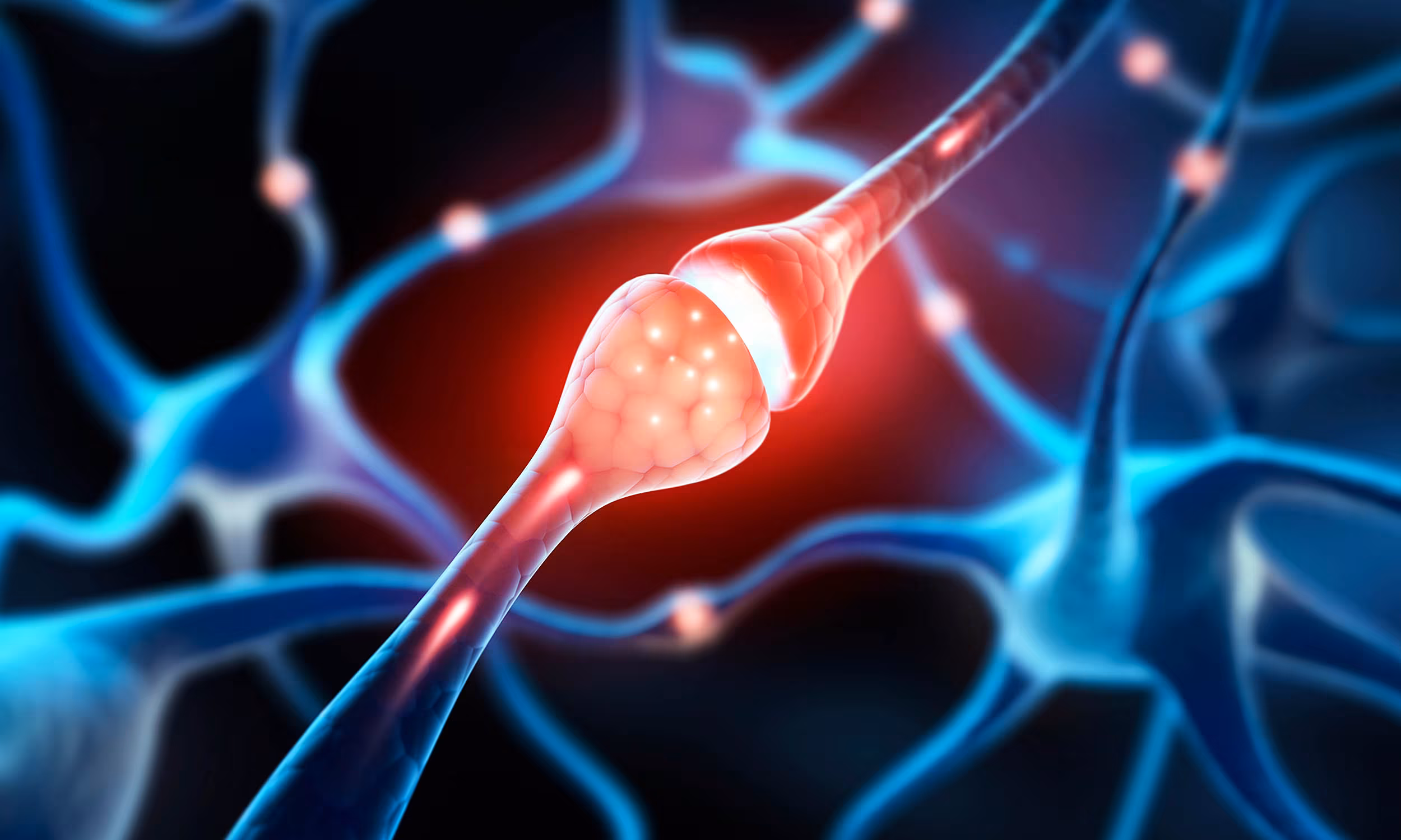 Discovery upends 100-year-old brain cell theory taught in scientific textbooks - Earth.com