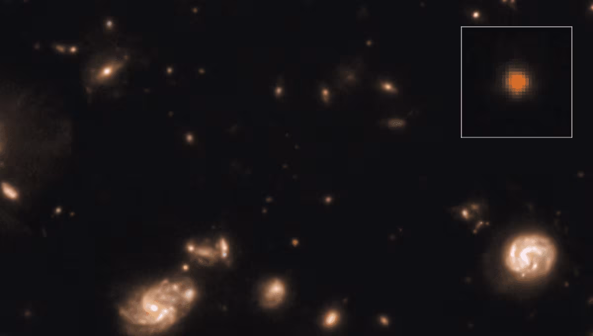 Mysterious JWST Object "Capotauro" Might Be The First Galaxy In The Universe - IFLScience