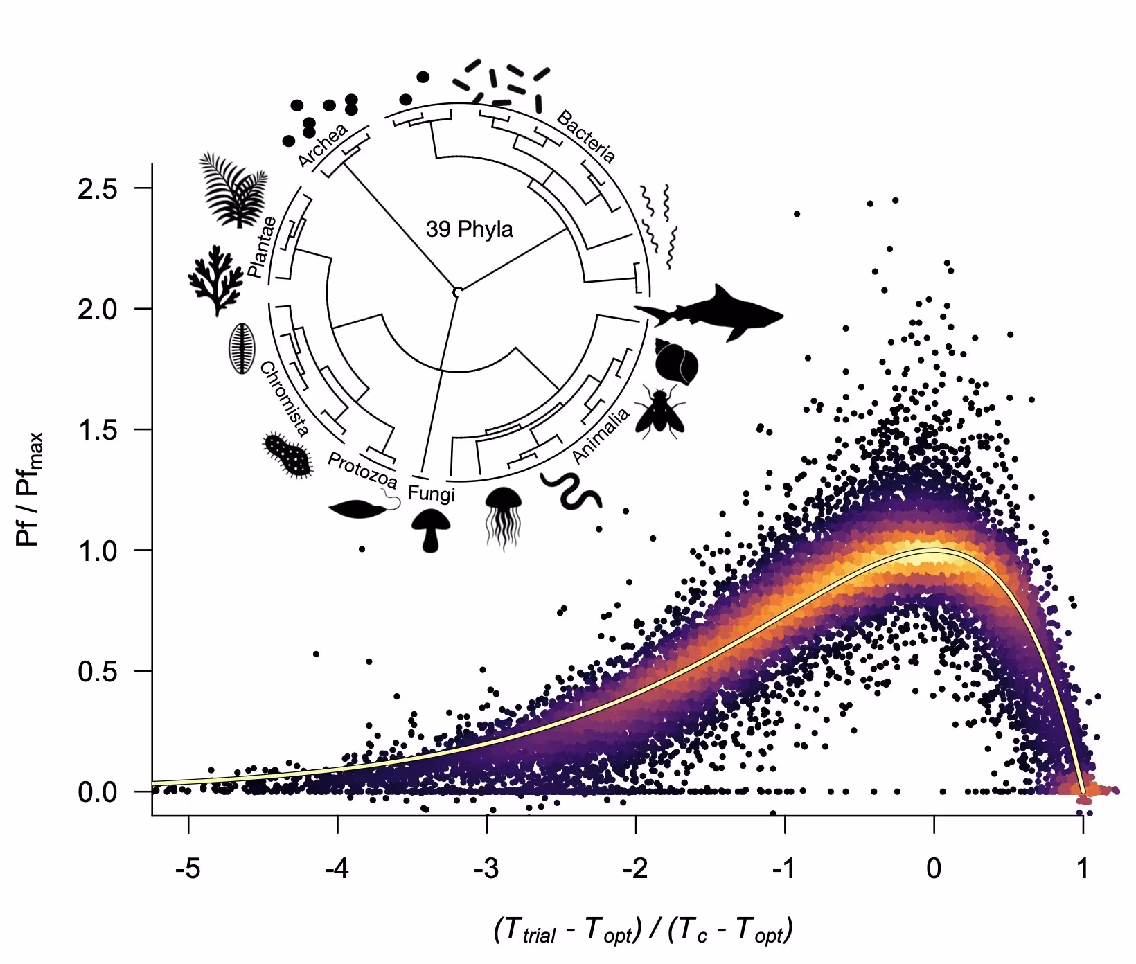 What goes up must come down: The 'universal thermal performance curve' that shackles evolution - Phys.org