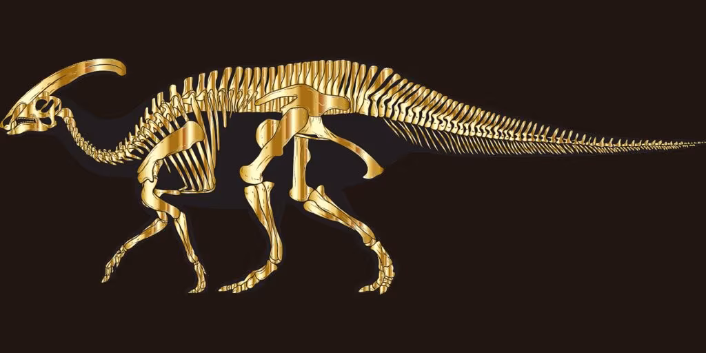 A large, articulated skeleton of a duck-billed dinosaur (hadrosaur) on display in a museum.