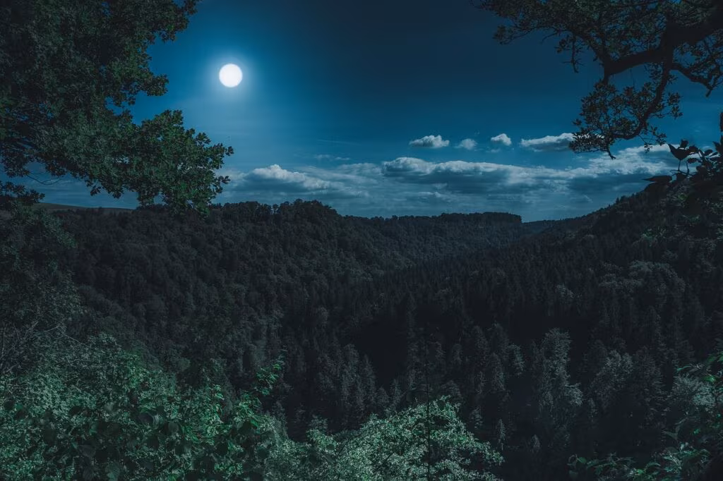 A large, bright moon rising over a dark, rural landscape with autumn trees silhouetted against the sky.