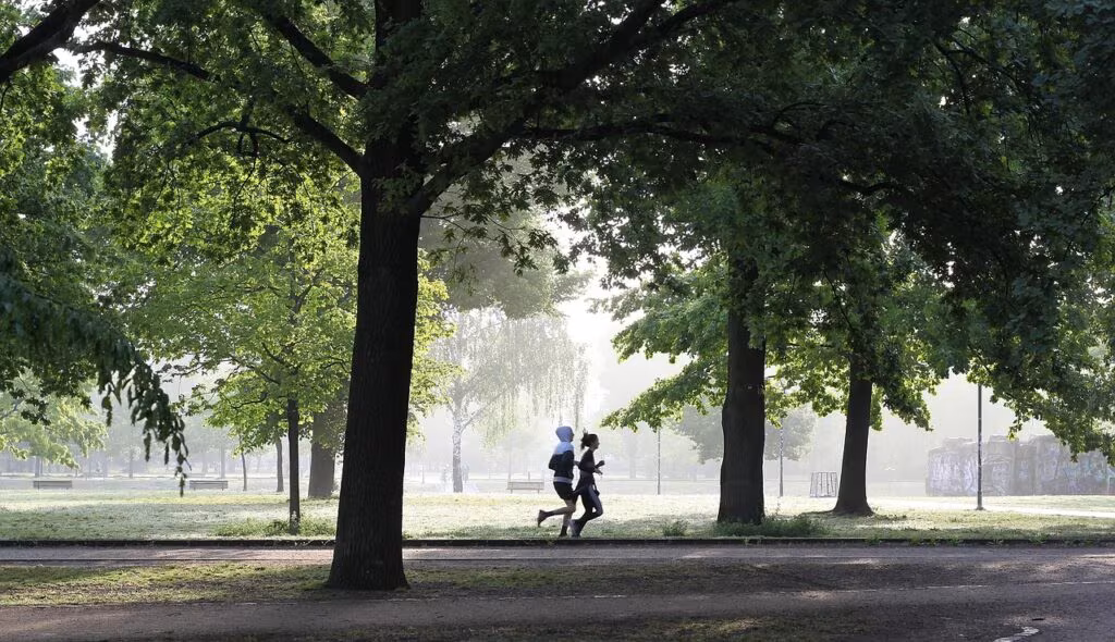 A person walking briskly through a snowy city park, utilizing natural light for mood boost.