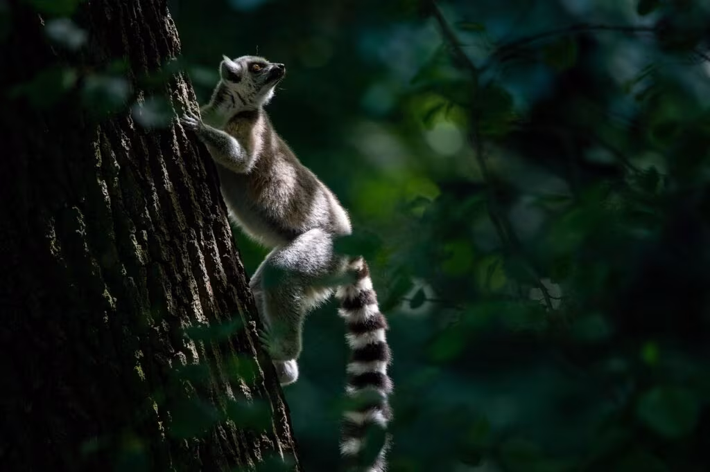 A screenshot of the vast, open-world fantasy environment of Elden Ring, showing a player character near a large structure.