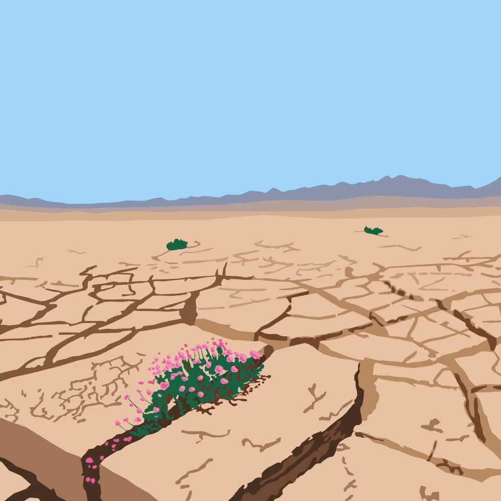 A small patch of green moss clinging tenaciously to a dry, cracked rock face in an arid environment, demonstrating resilience.