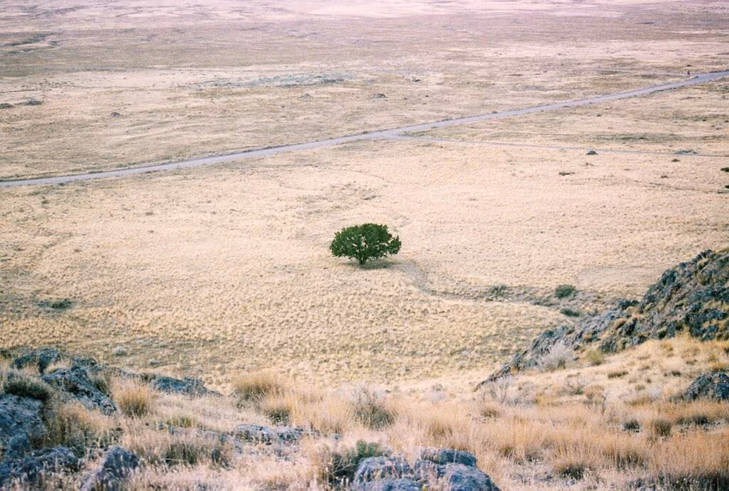 Arid desert landscape in Nevada showing dry cracked earth, illustrating water scarcity