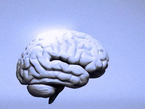 The Man Who Invented AGI - WIRED