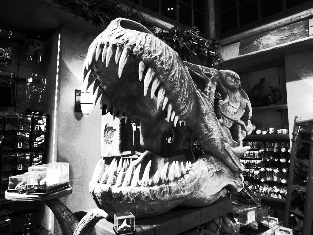 Close-up view of a fossilized tyrannosaur skull showing sharp teeth