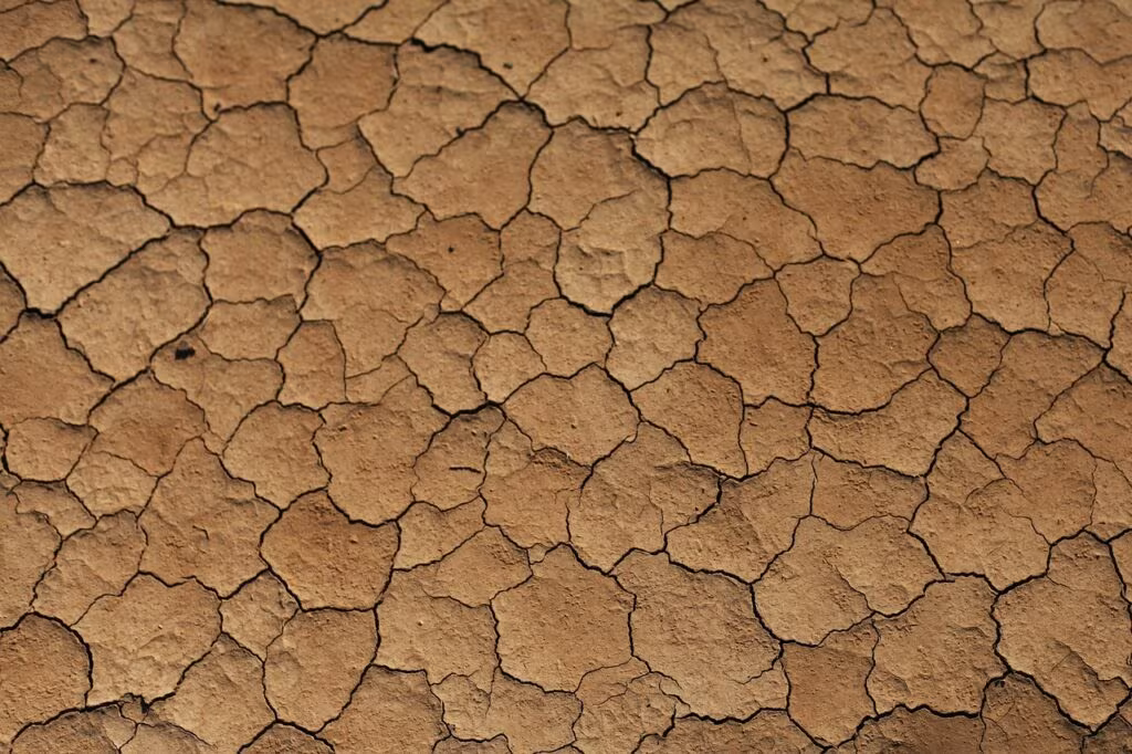 Cracked, dry earth in a field under intense sun, representing agricultural heat stress
