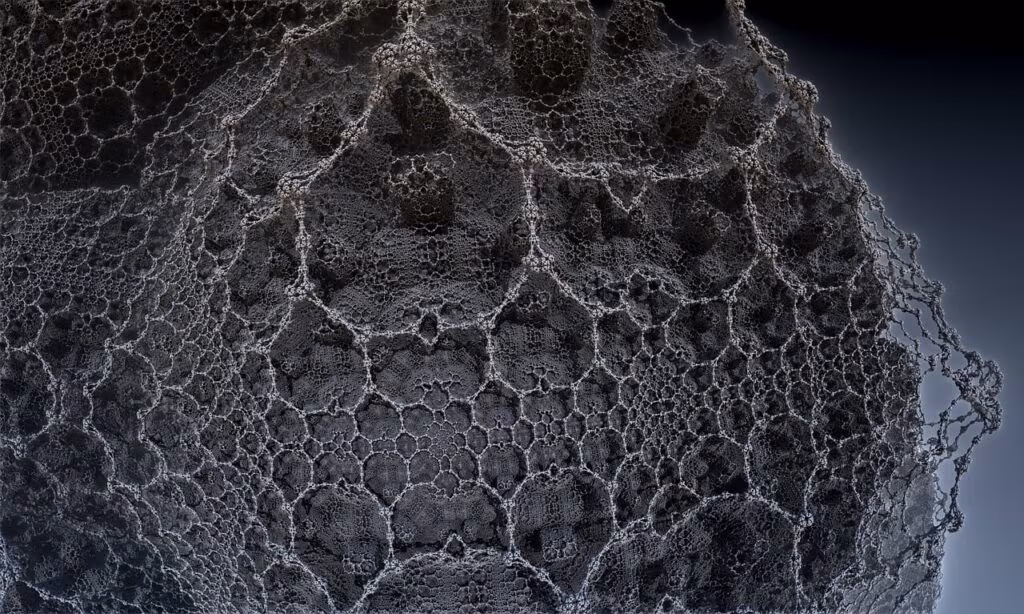 Diagram illustrating a complex hybrid AI architecture combining neural networks and symbolic logic nodes.