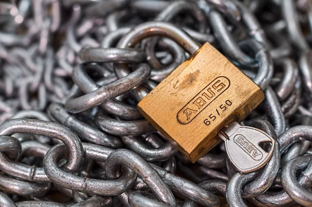 Digital representation of browsing data flowing through a secure channel with a padlock symbol