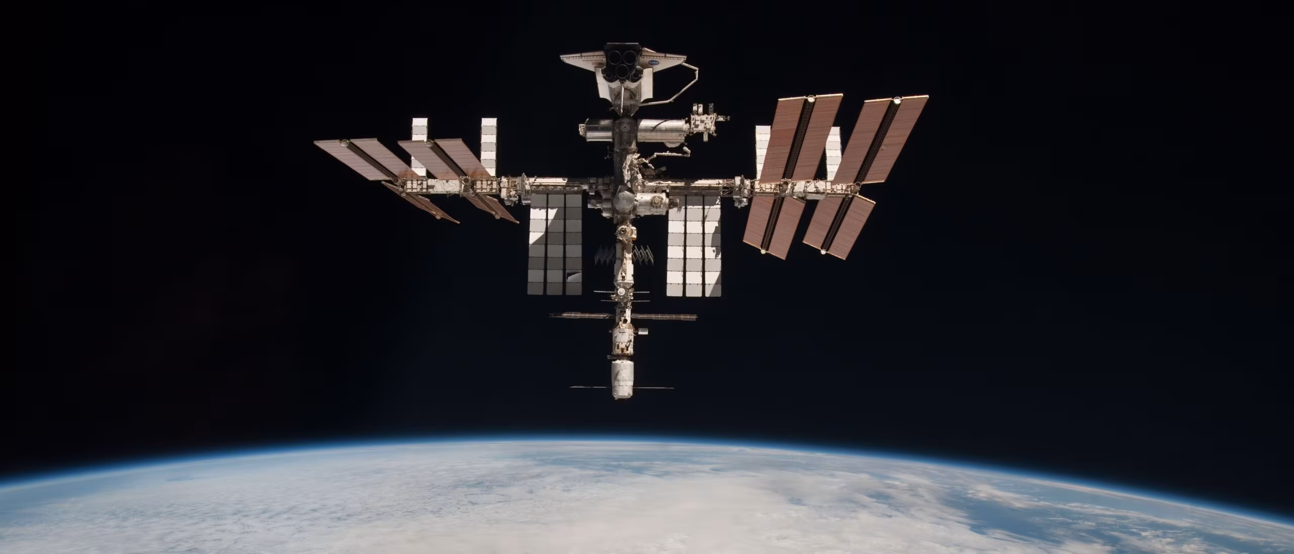 One Small Step For A Moss, One Giant Leap For Mosskind - Defector