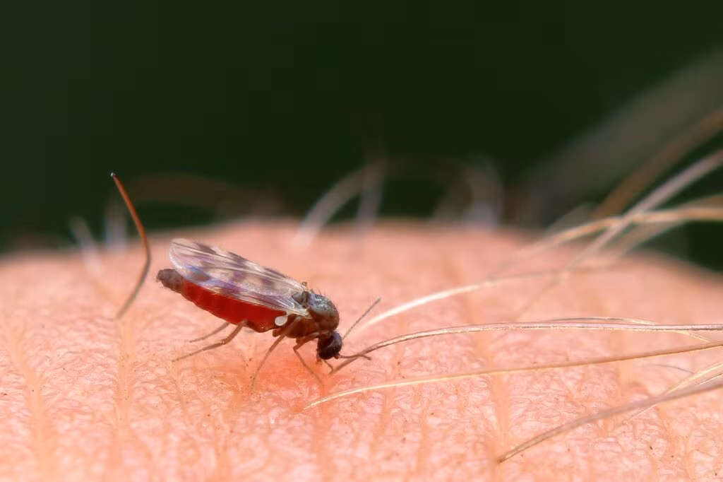 Man doing yard work in summer, focusing on mosquito bite prevention