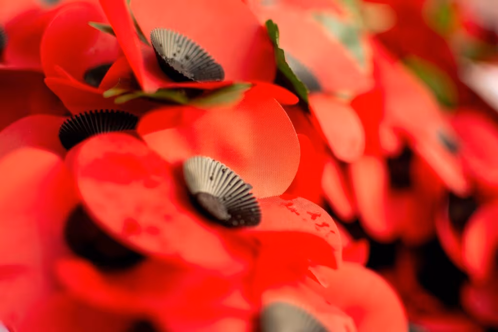 Thousands of red poppy petals falling from the ceiling during a solemn remembrance ceremony