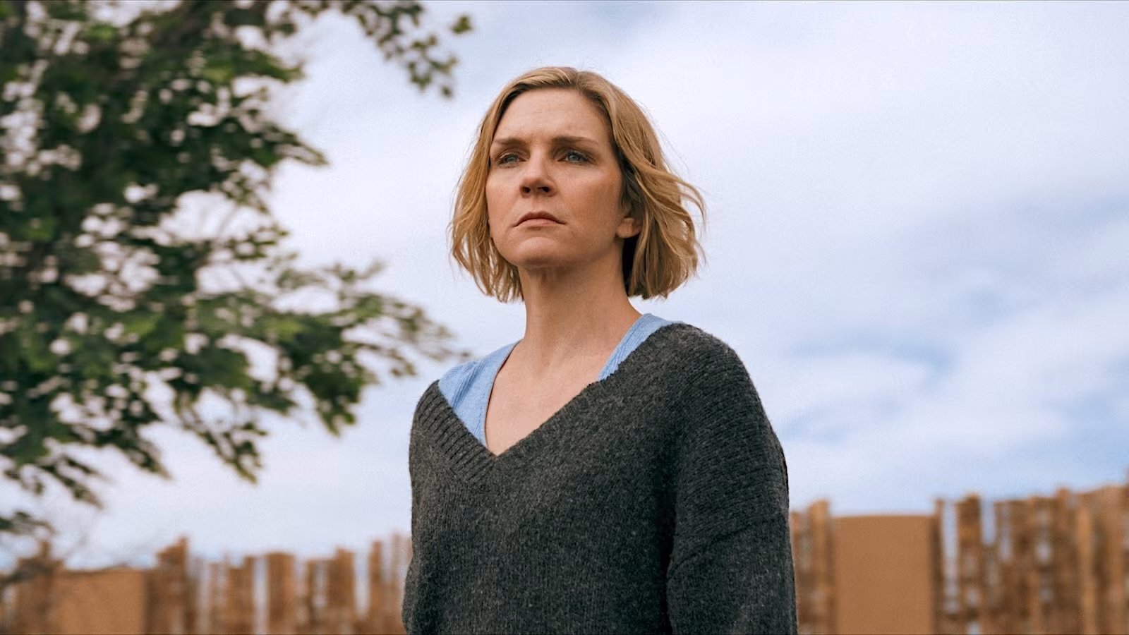 TVLine's Performer Of The Week: Rhea Seehorn - TVLine